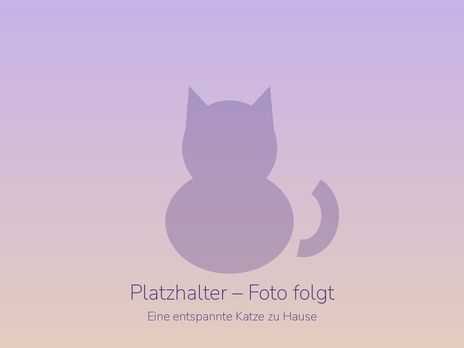 Platzhalter: eine entspannte Katze am Fenster