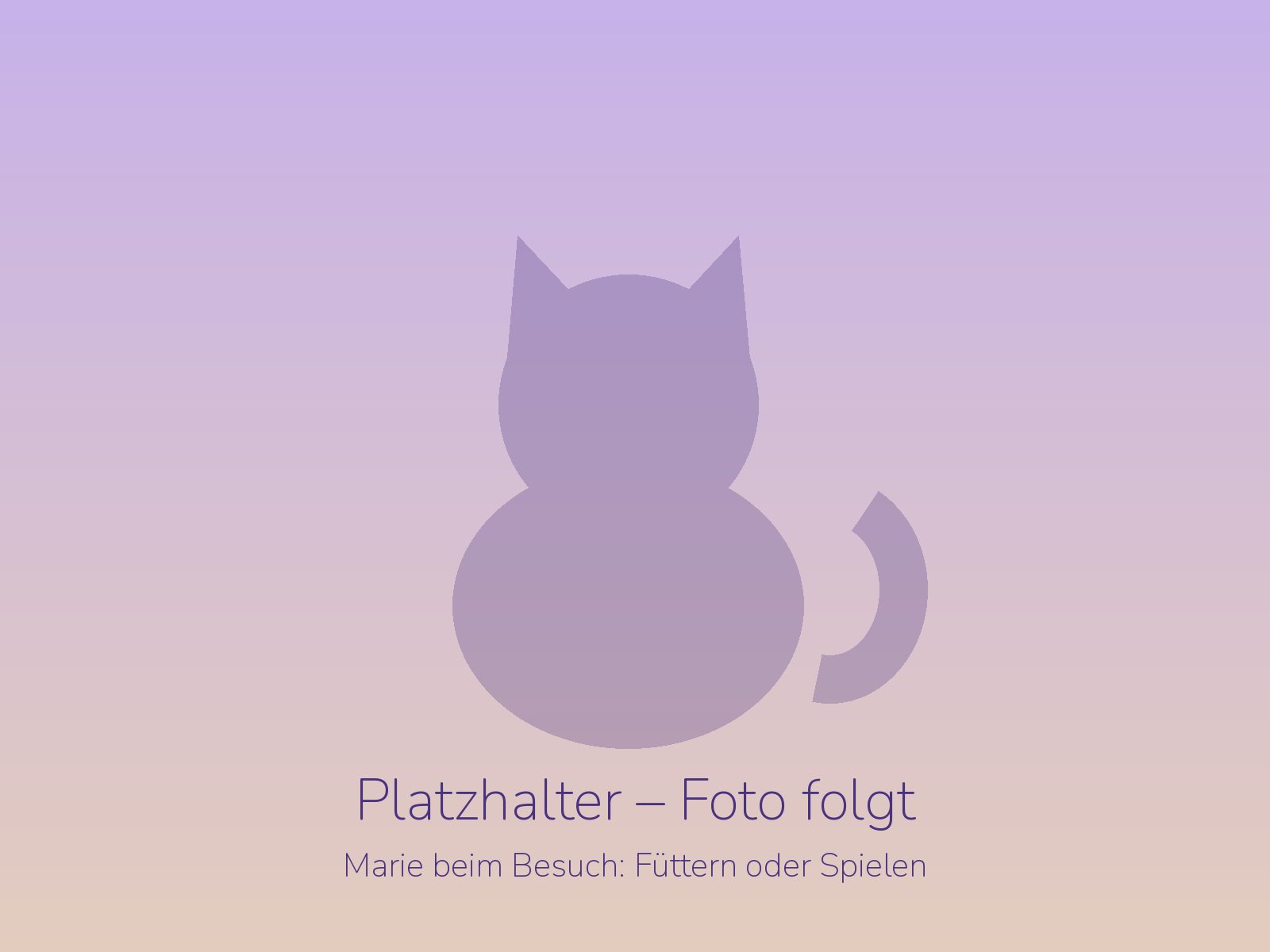 Platzhalter: Marie füttert eine Katze in einer Wohnung